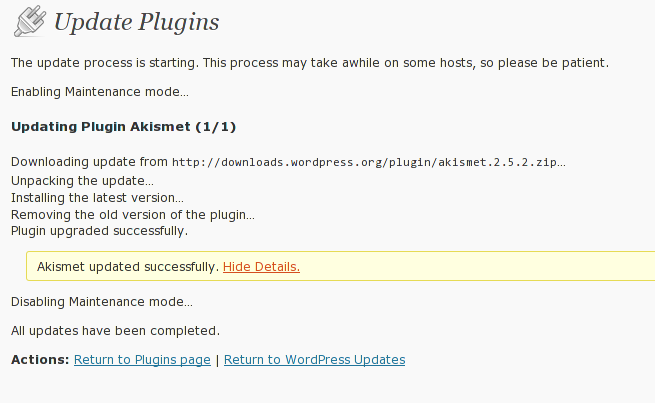 Wordpress plugin update