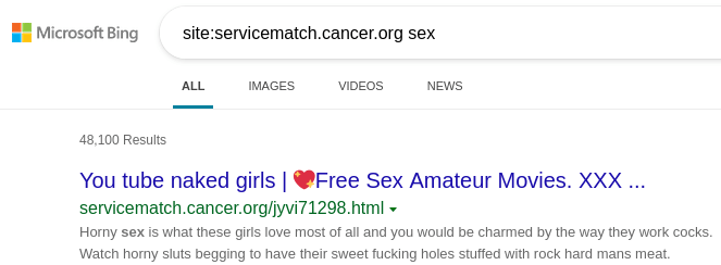 Bing.com search - site:servicematch.cancer.org