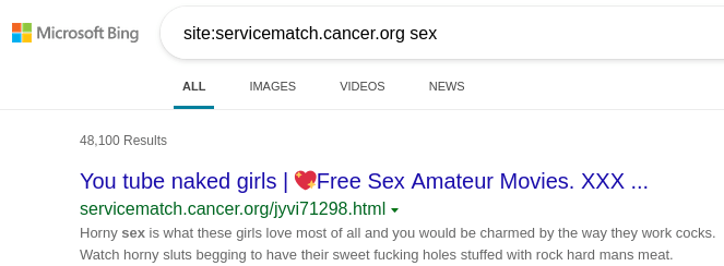 Bing.com search - site:servicematch.cancer.org 