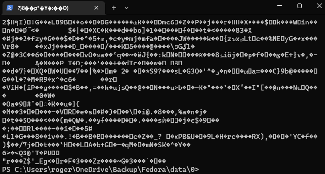 The content of a Borg backup file